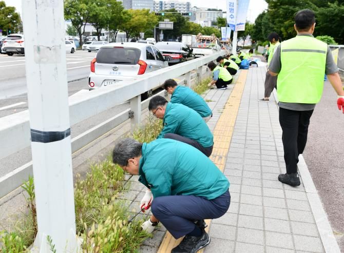 수원시 영통구 박사승 구청장, 주요 도로 집중 제초 작업 대전환 선제적 대응 긴급 지시