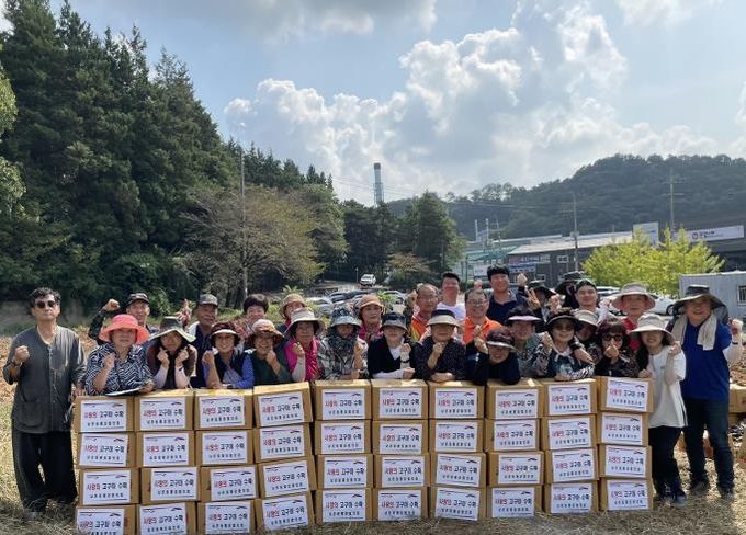 오산시 남촌동 통장협의회,“사랑 愛 고구마 수확”