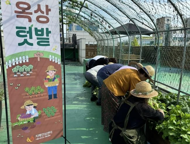 시흥시 정왕치매안심센터, 기억 키움 쉼터 이용자들과 옥상 텃밭 가꾸기 활동 진행