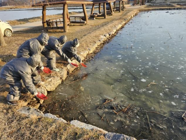 시흥시, 시흥환경연대·명예환경감시원과 함께 겨울 철새 먹이주기 캠페인 추진