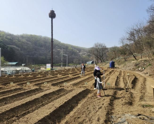 주말농장