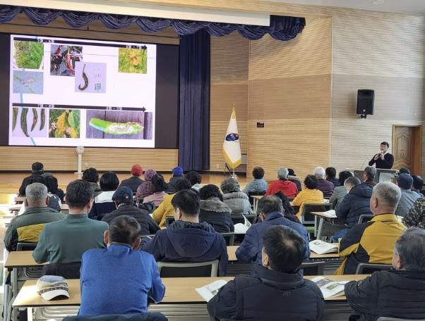용인특례시의 농업인 상설 교육 중 14일에 진행된 '고품질 고추재배 기술 교육' 현장 모습