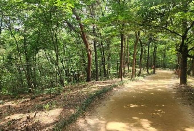 한숲근린공원 숲길조성사업 부지