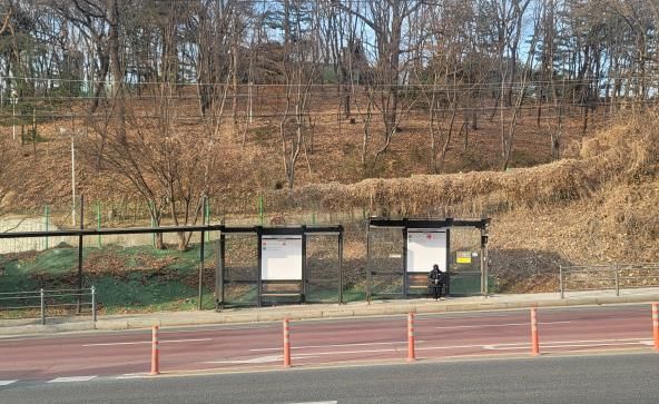 보라동 쌍용아파트 입구 삼거리 버스정류소 현장