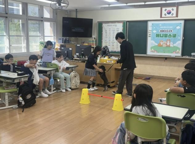 의왕시청소년재단, 학교로 찾아가는 동물보호교육 '애니멀스쿨' 운영