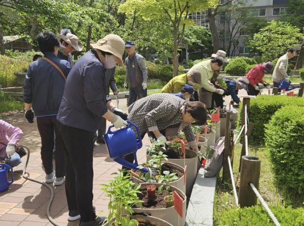 용인특례시는 지역 내 경로당을 대상으로 '찾아가는 실버텃밭'을 운영하고 있다
