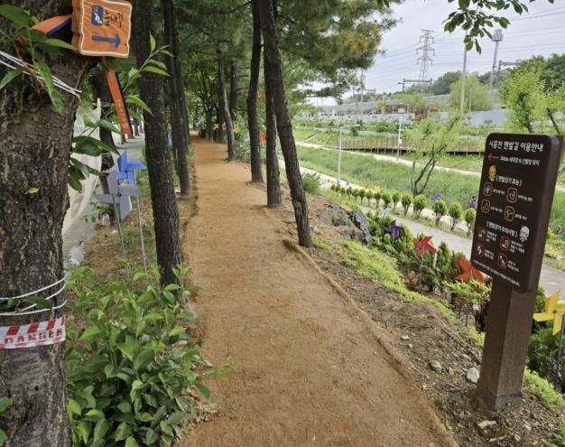 시흥천 제방 내 조성된 시흥천 맨발길
