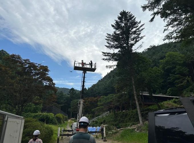 제출사진