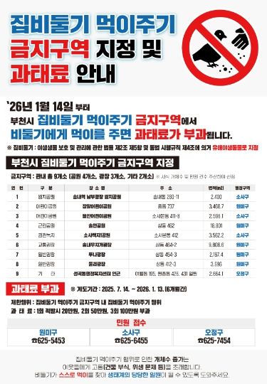 집비둘기 먹이주기 금지구역 지정 및 과태료 안내 포스터