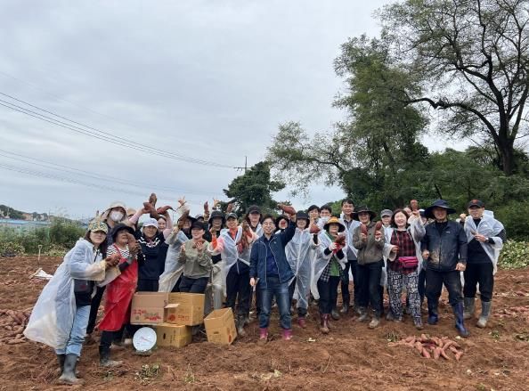오산시 대원2동 통장협의회, ‘사랑의 고구마 수확’ 봉사활동 전개