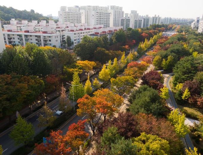 '평택시 국도1호선 가로숲길' 녹색도시 우수사례 '우수상' 수상